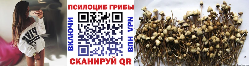 Псилоцибиновые грибы мухоморы  Ивдель 
