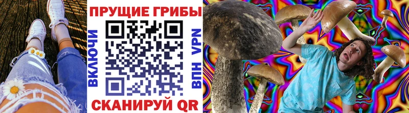 Псилоцибиновые грибы прущие грибы Ивдель